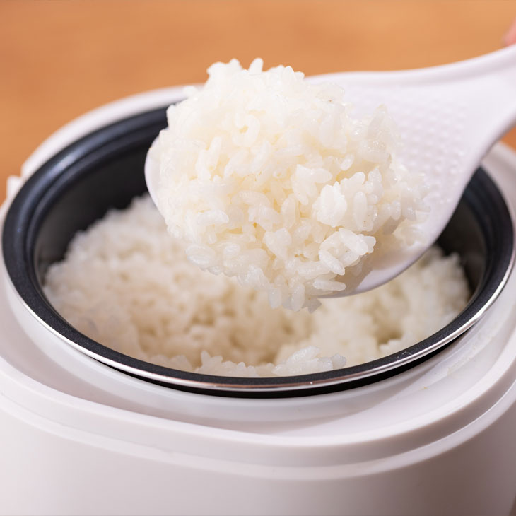 アルコレ ミニライスクッカー 管理栄養士監修レシピ付き