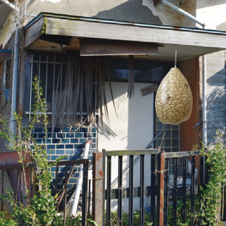 ハチの巣ガード4個組｜ファミリー・ライフ公式通販