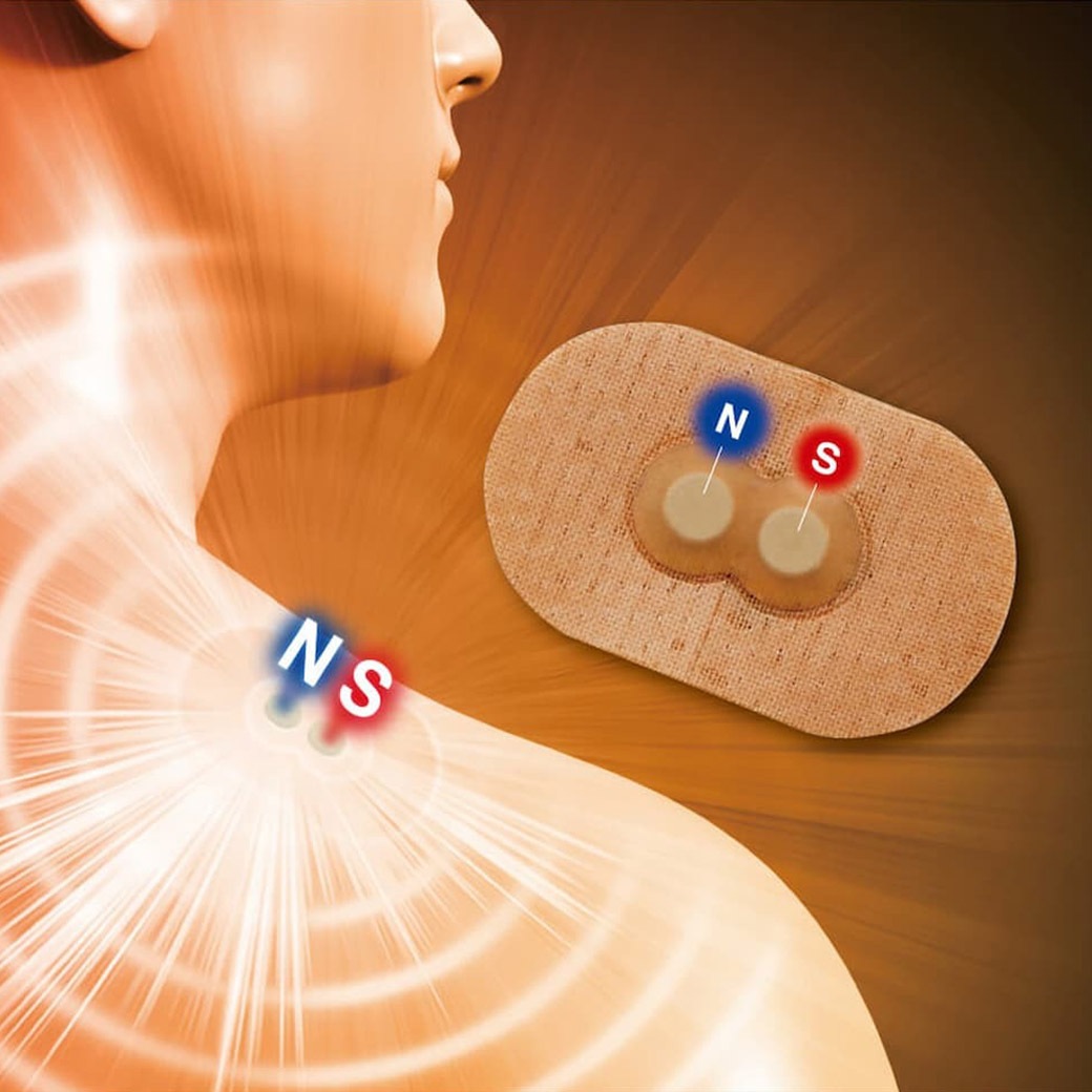 日本製 コラントッテNSマグネバン 20枚 替えシート40枚