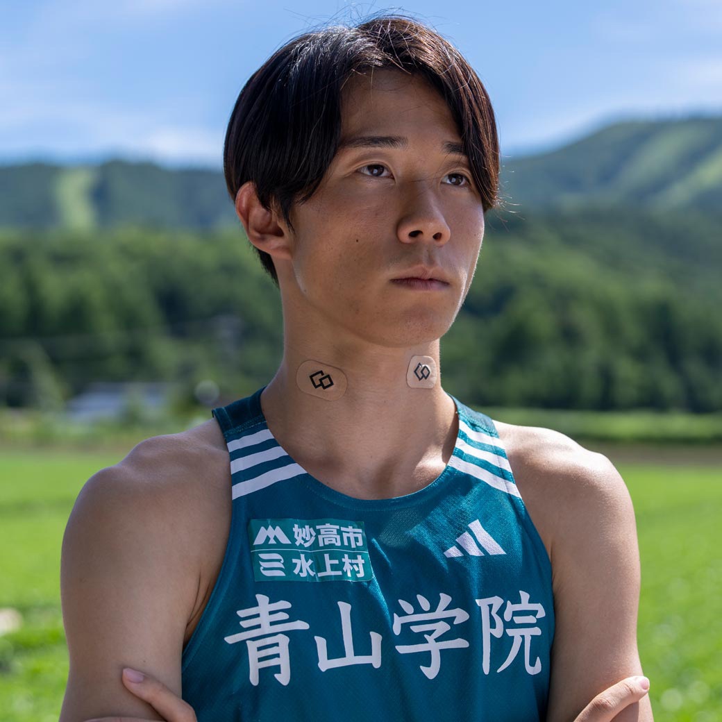 日本製 コラントッテNSマグネバン 20枚 替えシート40枚