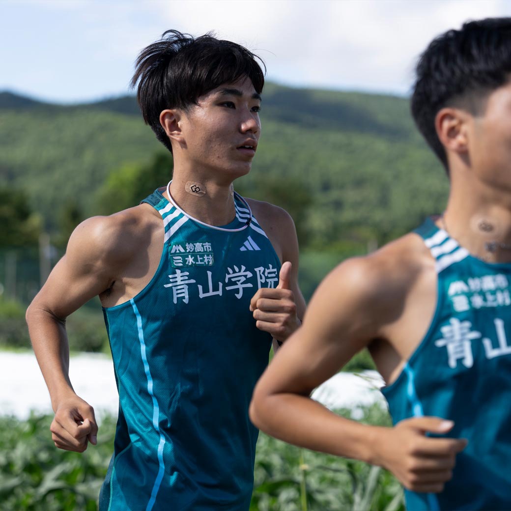 日本製 コラントッテNSマグネバン 20枚 替えシート40枚