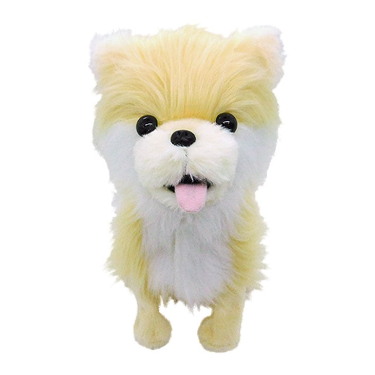 踊るペット犬 ココドル 歌って踊れるポメラニアン