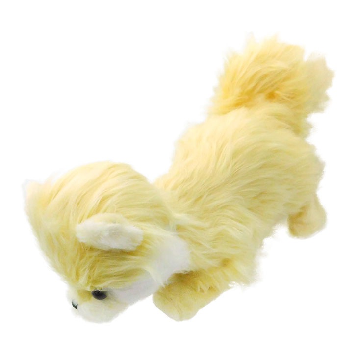 ココドル踊るペット犬 Amazon | 希少 レア ポメラニアン ココドル 踊るペット犬 喋って