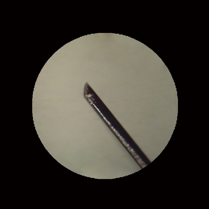 グルーミングヒートカッター 女性用