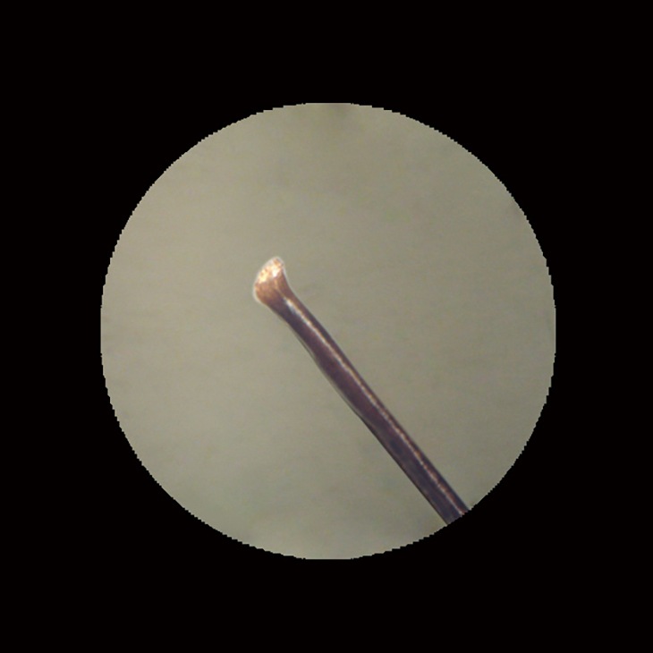 グルーミングヒートカッター 女性用