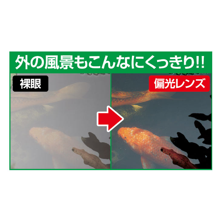 調光・偏光ファッショングラス 2個組｜ファミリー・ライフ公式通販