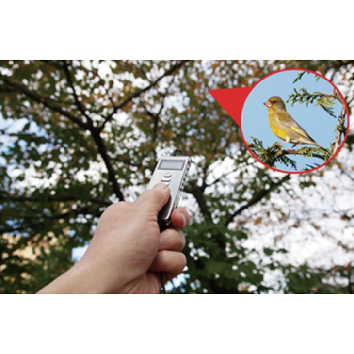 ボイスレコーダー 長録くん WK-I01｜ファミリー・ライフ公式通販