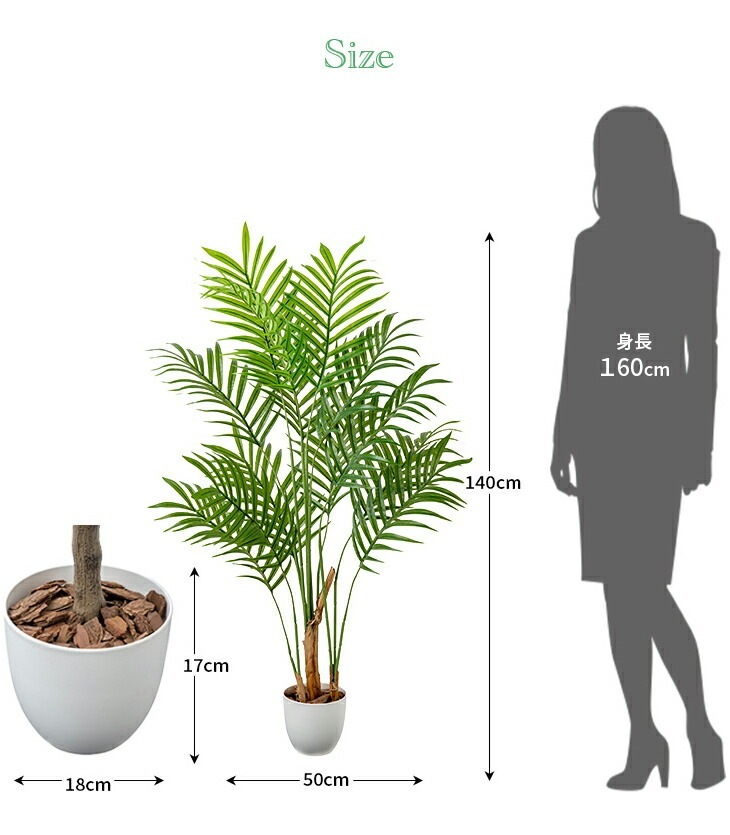 光触媒 風水インテリアグリーン アレカヤシ