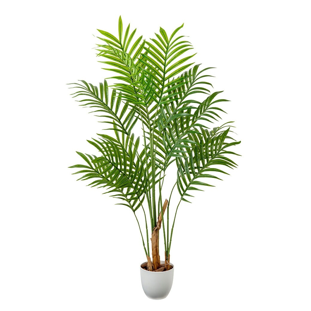 光触媒 風水インテリアグリーン アレカヤシ