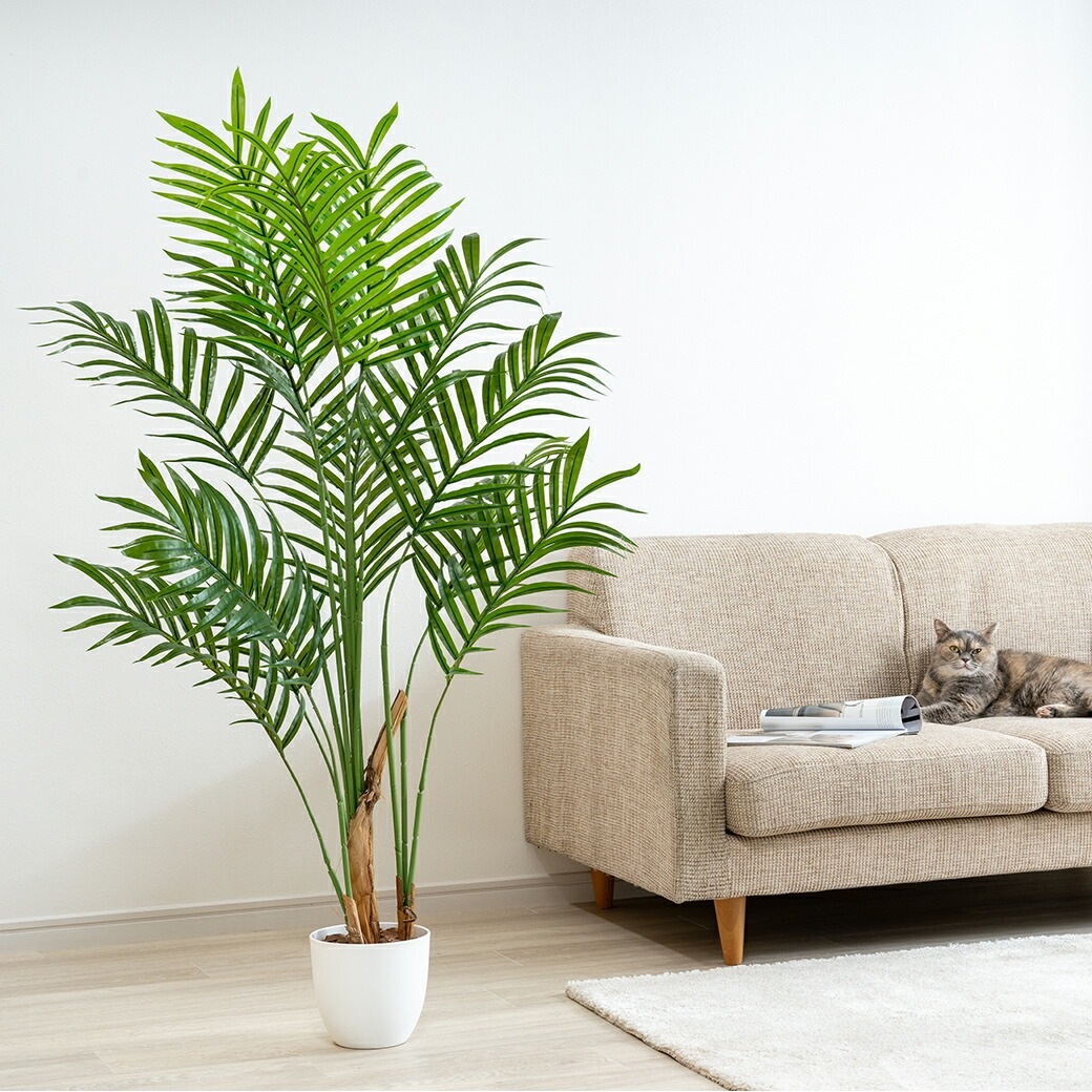 光触媒 風水インテリアグリーン アレカヤシ
