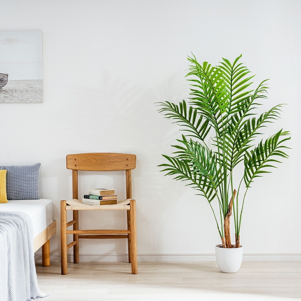 光触媒 風水インテリアグリーン アレカヤシ