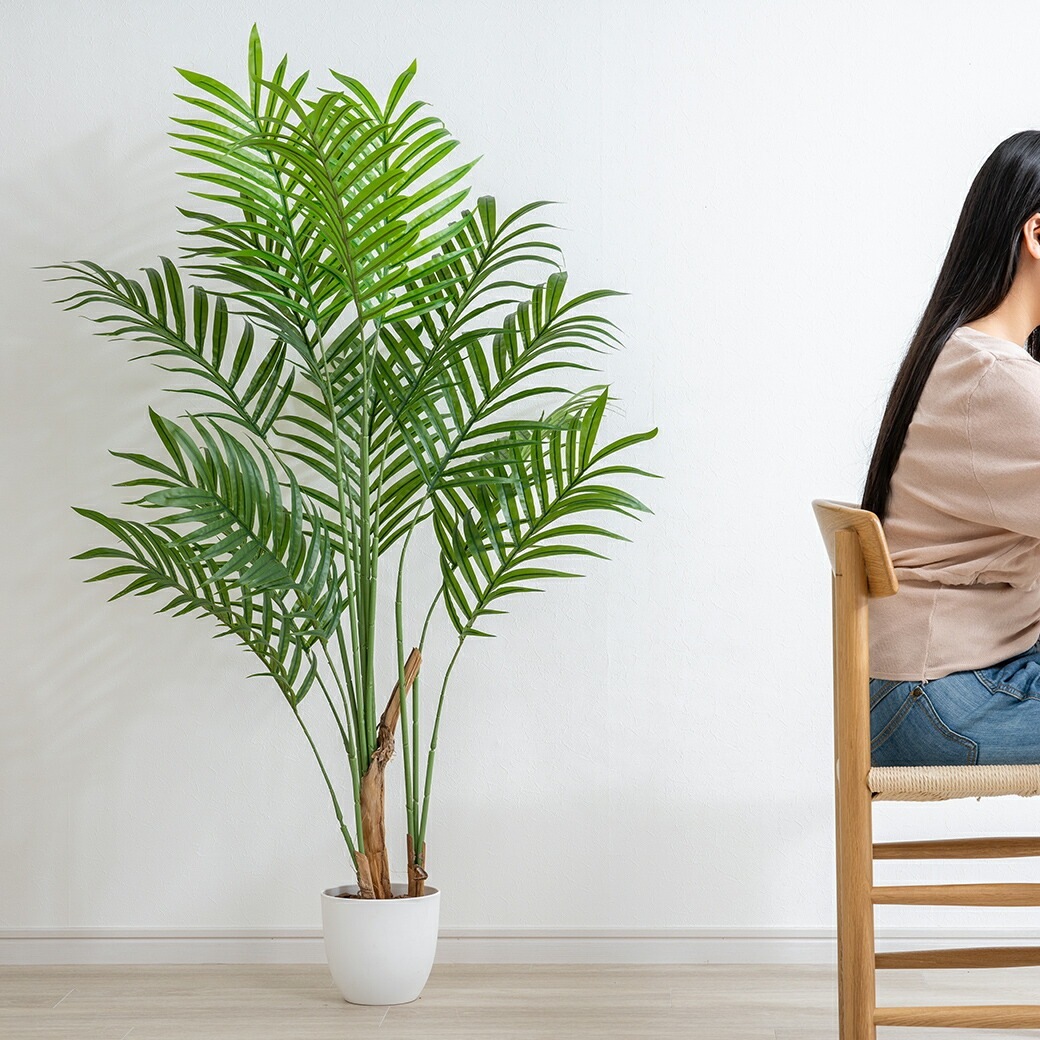 光触媒 風水インテリアグリーン アレカヤシ