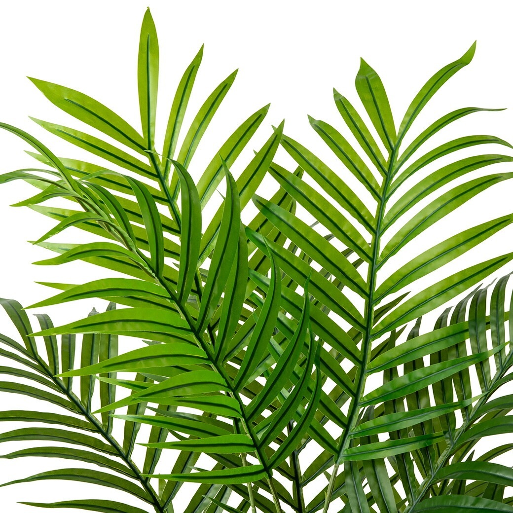 光触媒 風水インテリアグリーン アレカヤシ