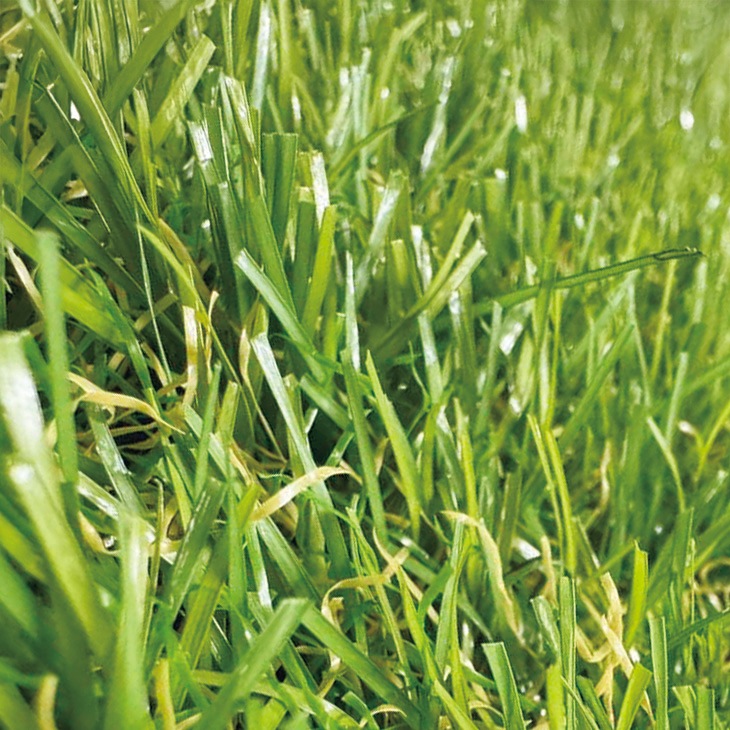 防草シート付きロール人工芝 100×1000cm