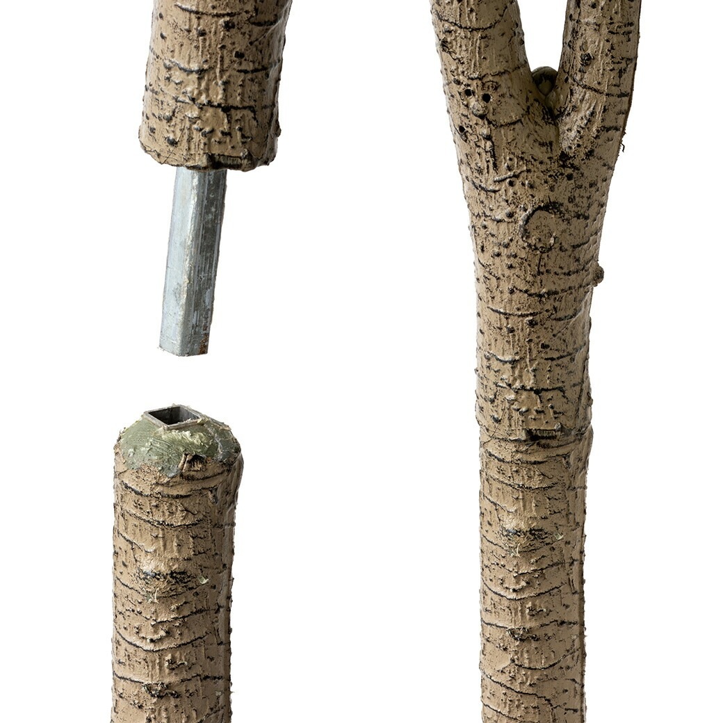 光触媒 風水インテリアグリーン ベンジャミン