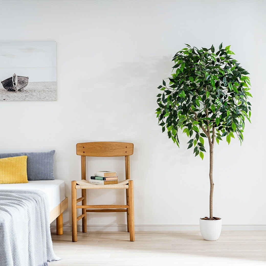 光触媒 風水インテリアグリーン ベンジャミン