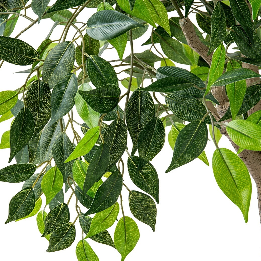 光触媒 風水インテリアグリーン ベンジャミン