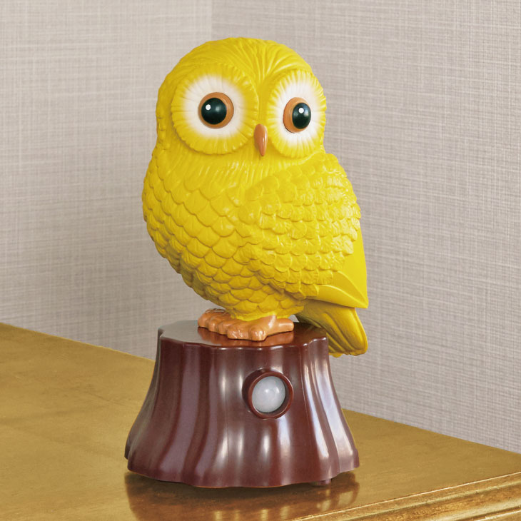 我が家の福ちゃん