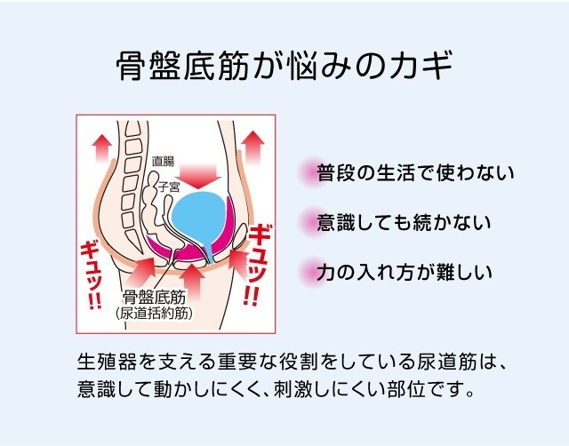 骨盤底筋エクササイズクッション キュットブル
