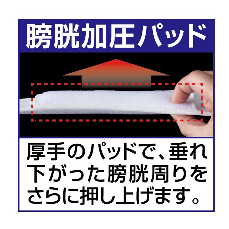 一般医療機器 骨盤底筋ベルト モレナレディEX