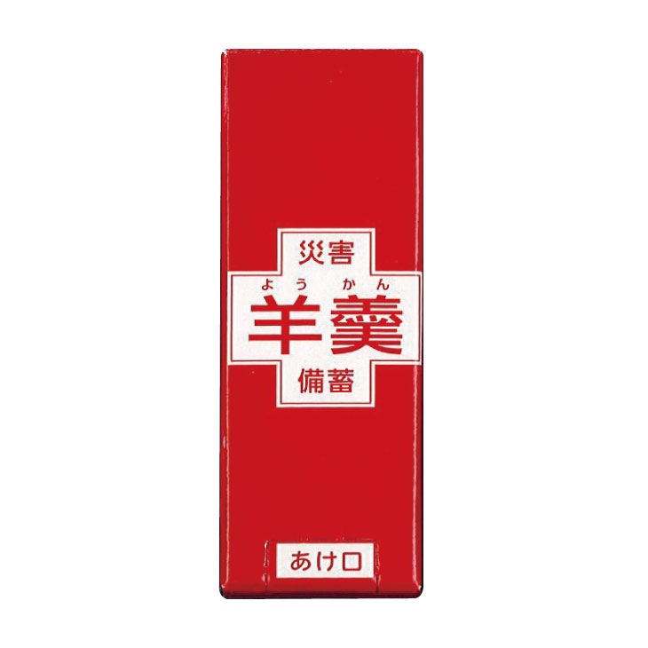 2025年度版 防災士が選んだオリジナル防災用品39点セットDX B