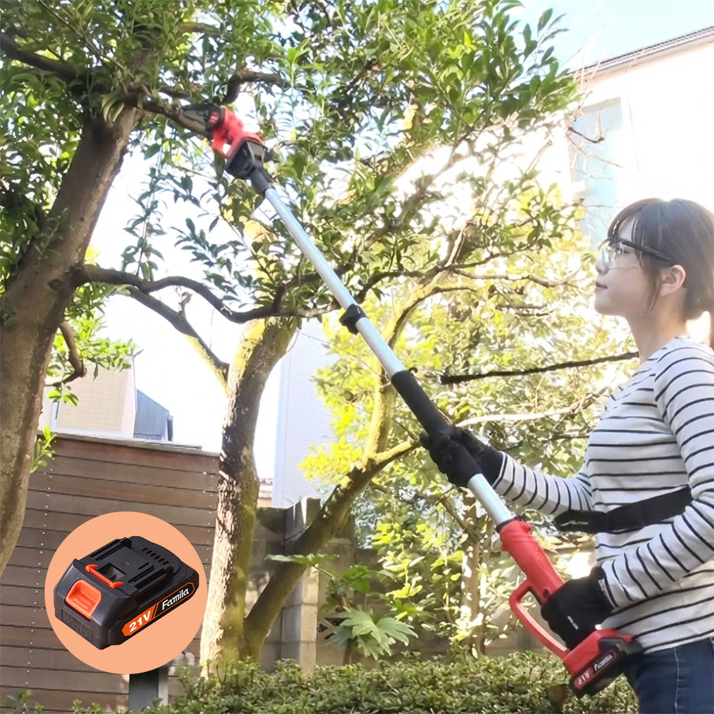 ファミラ 高枝チェーンソー 充電式コードレス2WAY高枝チェーンソー6点セット 予備バッテリー付き
