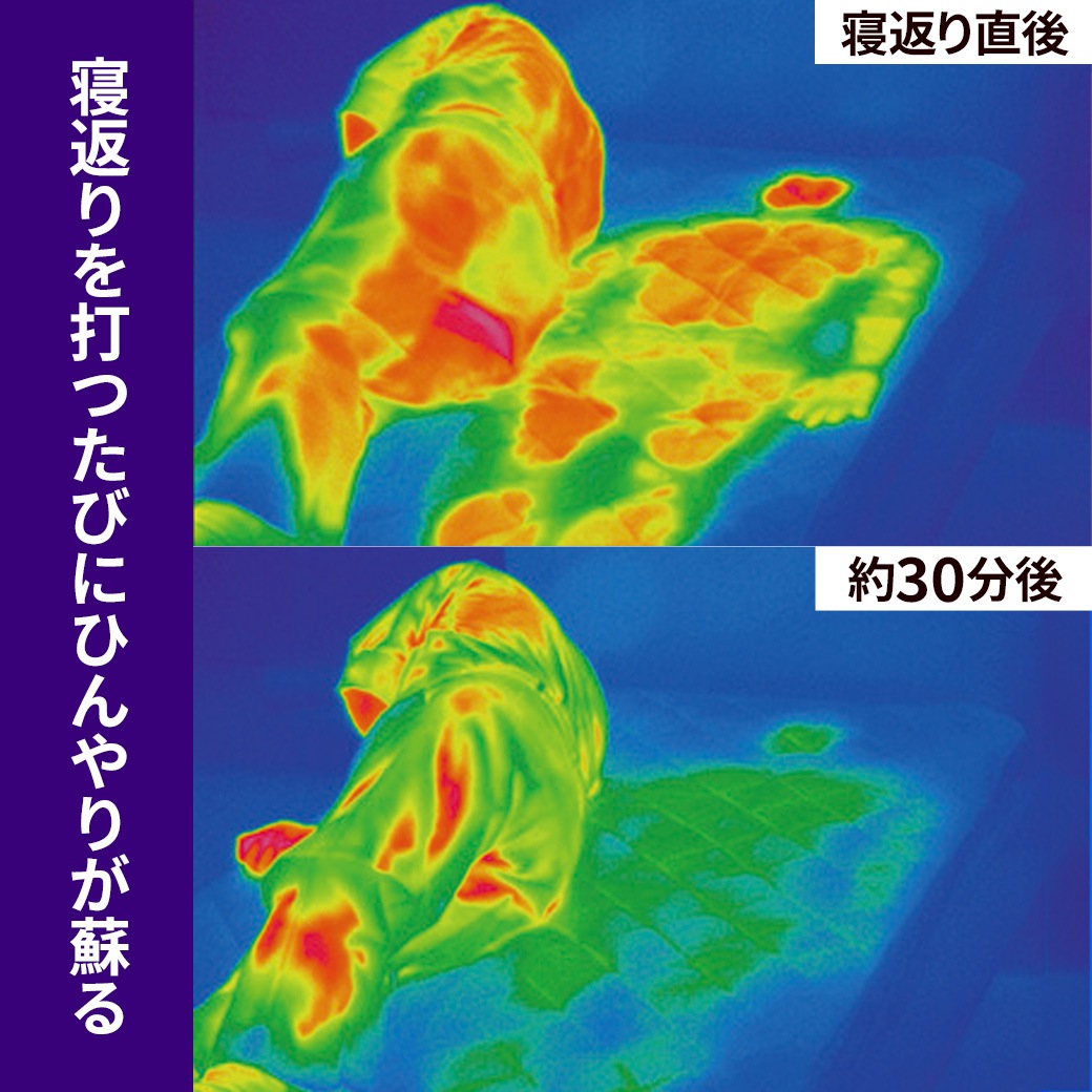 西川 ドリーミングアイス涼感寝具 ダブル5点セット