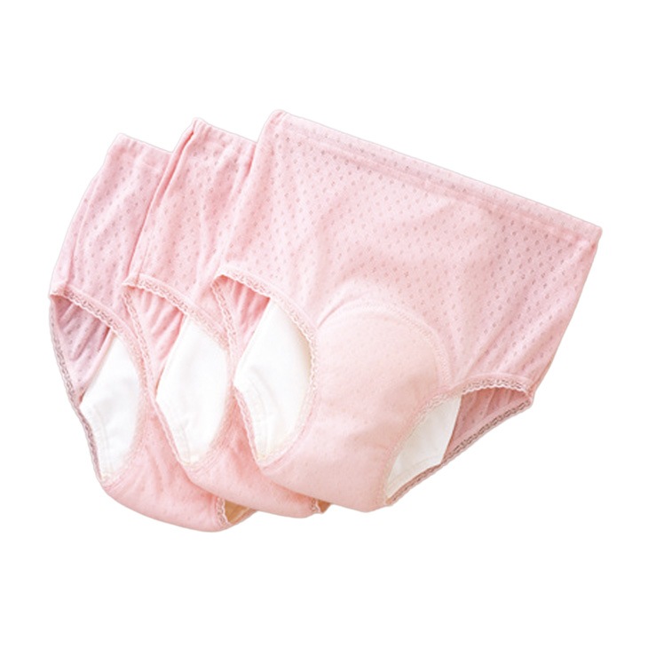日本製 安心さわやかパンツシリーズ 120cc同色3枚組 レディース用
