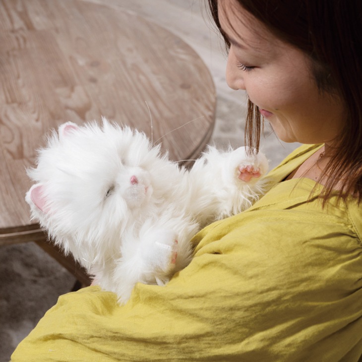 しっぽふりふりあまえんぼう子ねこちゃん｜ファミリー・ライフ公式通販