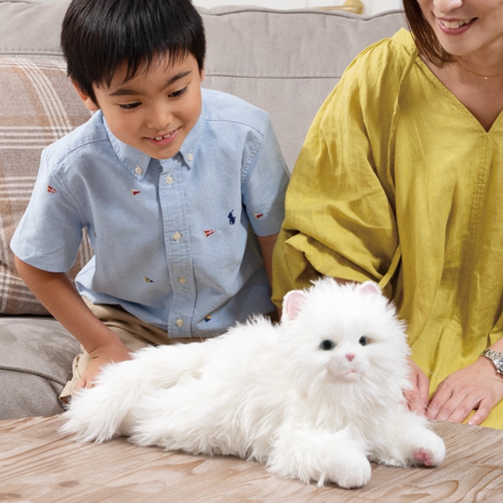 しっぽふりふりあまえんぼう子ねこちゃん｜ファミリー・ライフ公式通販