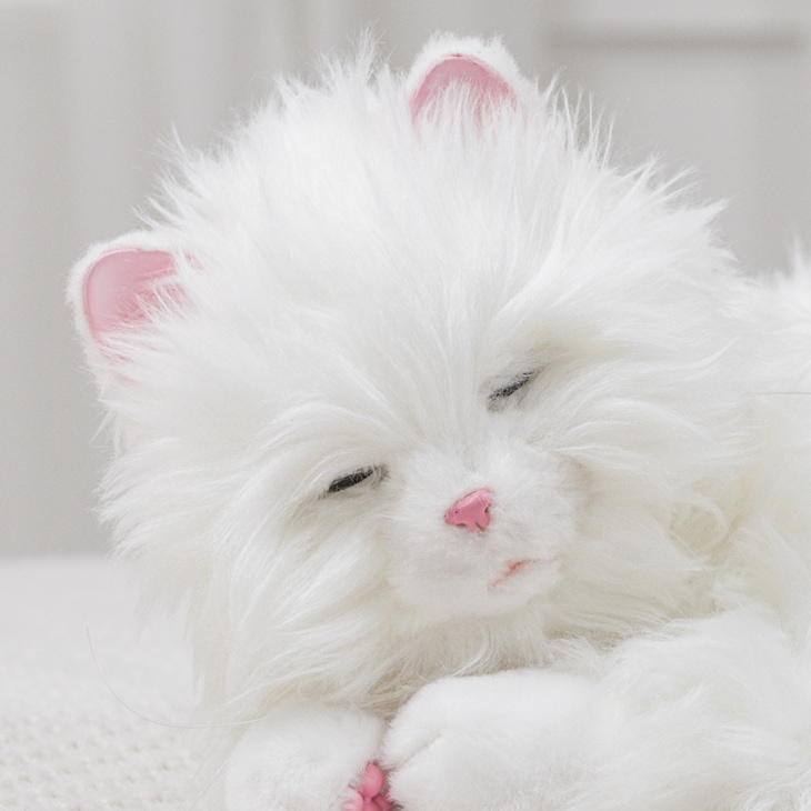 しっぽふりふりあまえんぼう子ねこちゃん｜ファミリー・ライフ公式通販