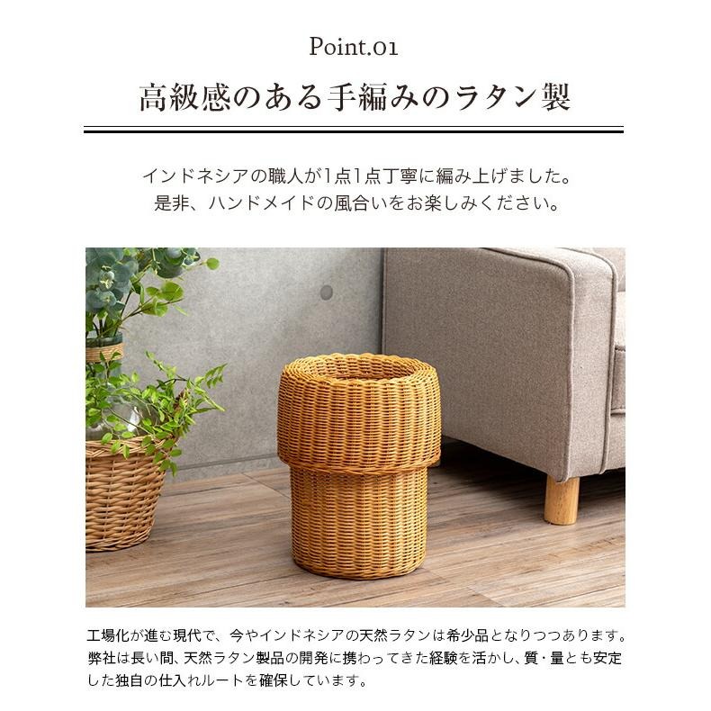 NEWラタンカバー付きダストボックス