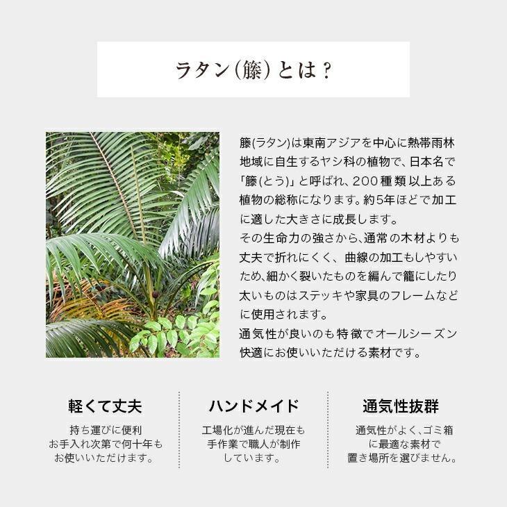 NEWラタンカバー付きダストボックス