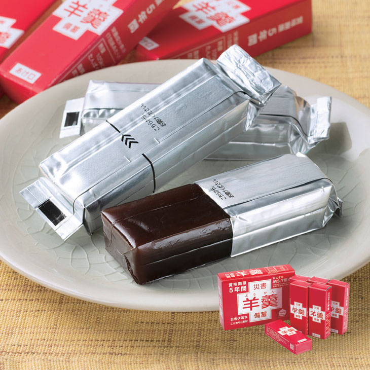 賞味期限5年 災害備蓄ようかん 6本入り×3箱