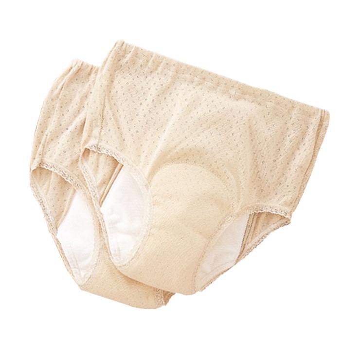 日本製 安心さわやかパンツシリーズ 200cc同色2枚組 レディース用