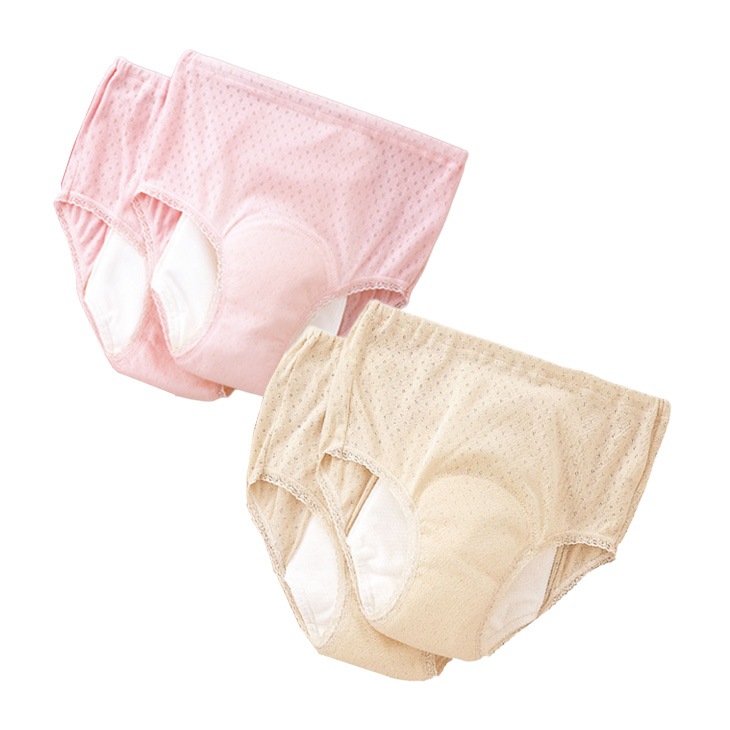 日本製 安心さわやかパンツシリーズ 200cc同色2枚組 レディース用
