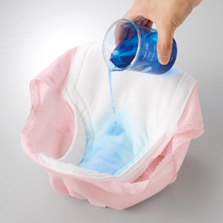 日本製 安心さわやかパンツシリーズ 200cc同色2枚組 レディース用