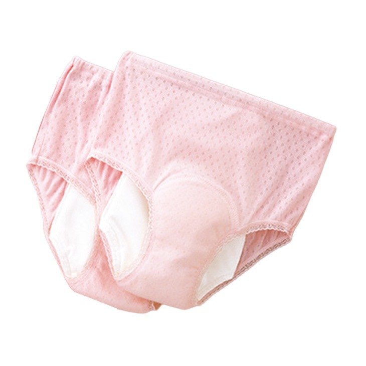 日本製 安心さわやかパンツシリーズ 200cc同色2枚組 レディース用