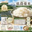 ¼�����졡���Ŵ�¿�����������ƥ����ҥ���10kg