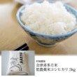 ¼졡Ŵ¿ƥҥ5kg