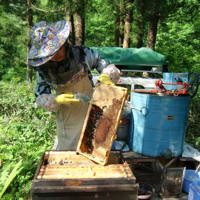 ˪졡Ż˪̪֤ʤƤߤ󤷤500g