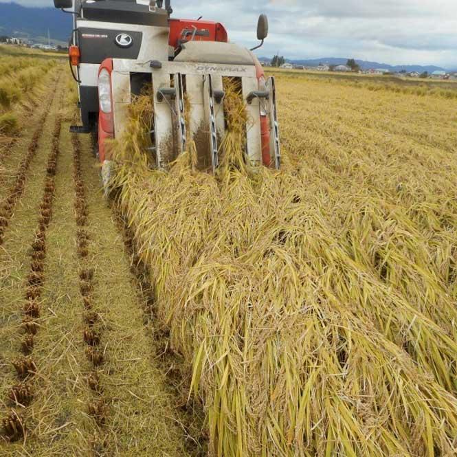 ʡ�����졡�ߤ�����å�