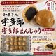 �²ۻҽ豧¿Ϻ����¿Ϻ�ޤ󤸤夦 15����