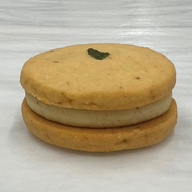 �����TUKINOHIKARI�ˡ�KITAKATA���(TUKIAKARI)