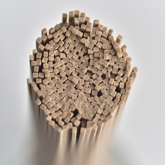 �������͡��ػ޴����С��쥮��顼10��Ȣ��