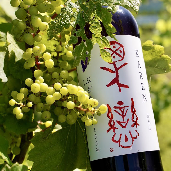 WINERY JUN  ���� -��ޥ����ӥ˥��- �ʤ֤ɤ����塼����