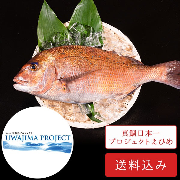 �ߤ�����ݤ���1��