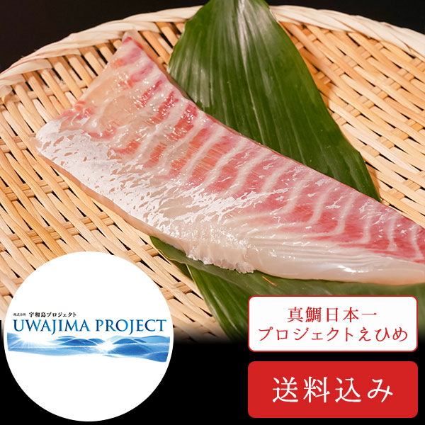 伊達真鯛お刺身の柵（1尾分） | すべての商品 | 愛媛の名物通販