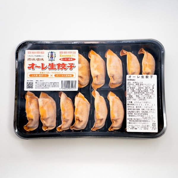 餃子 冷凍餃子35個 ｜ オンラインストア Aima – Aima オンラインストア
