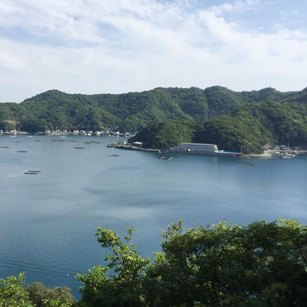 쥹ȥ֥Х飸ʥХ饨ƥˡץåȡʤܥå